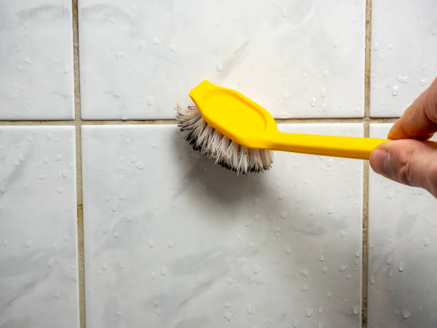 Best Professional Mold Removal  in Hamilton, MO