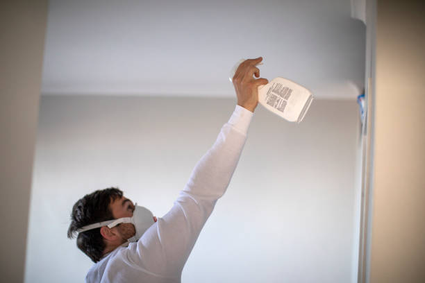 Best Best Mold Removal Companies  in Hamilton, MO