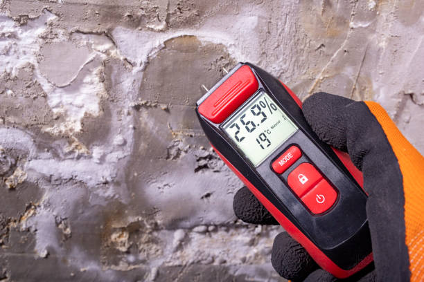 Best Professional Mold Removal  in Hamilton, MO