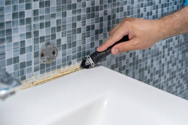 Best Certified Mold Removal  in Hamilton, MO