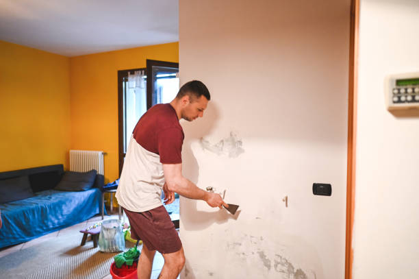 Best Black Mold Removal  in Hamilton, MO